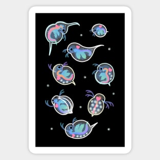 Daphnia Sticker